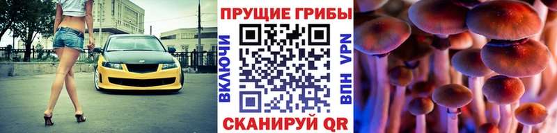 Псилоцибиновые грибы Cubensis  Томск 